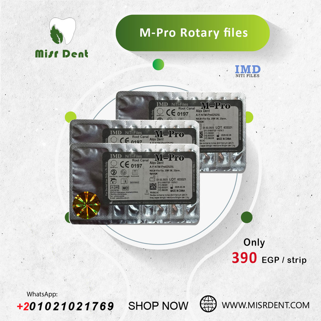 IMD m-pro Rotary file 