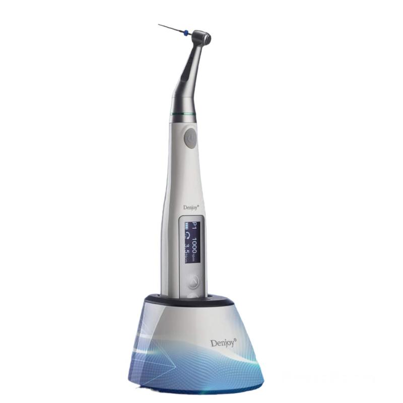 Denjoy i Mate3 Endo Motor